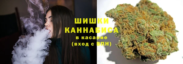 гидра Арсеньев