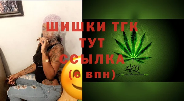 СК Аркадак