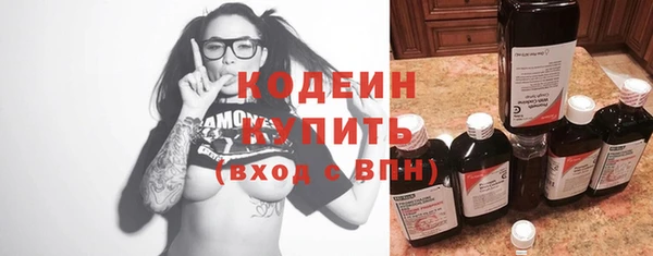 гидра Арсеньев