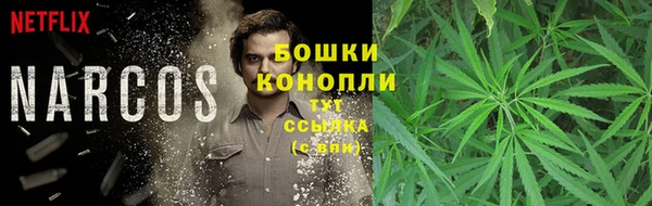 spice Няндома