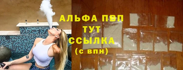 гидра Арсеньев